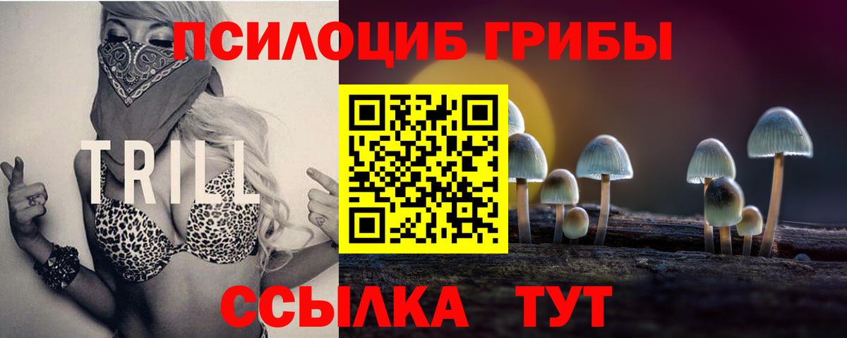 где можно купить наркотик  Вход с VPN  Москва  Псилоцибиновые грибы прущие грибы 